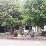 Ein Café mit Terrasse im Grünen in Küssaberg, umgeben von großen Bäumen und Pflanzen. Der perfekte Ort für Gäste, die nach einem erholsamen Aufenthalt in den Ferienwohnungen Brockmann im Schwarzwald eine Pause einlegen möchten.