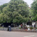 Restaurant umgeben von Bäumen und grüner Landschaft