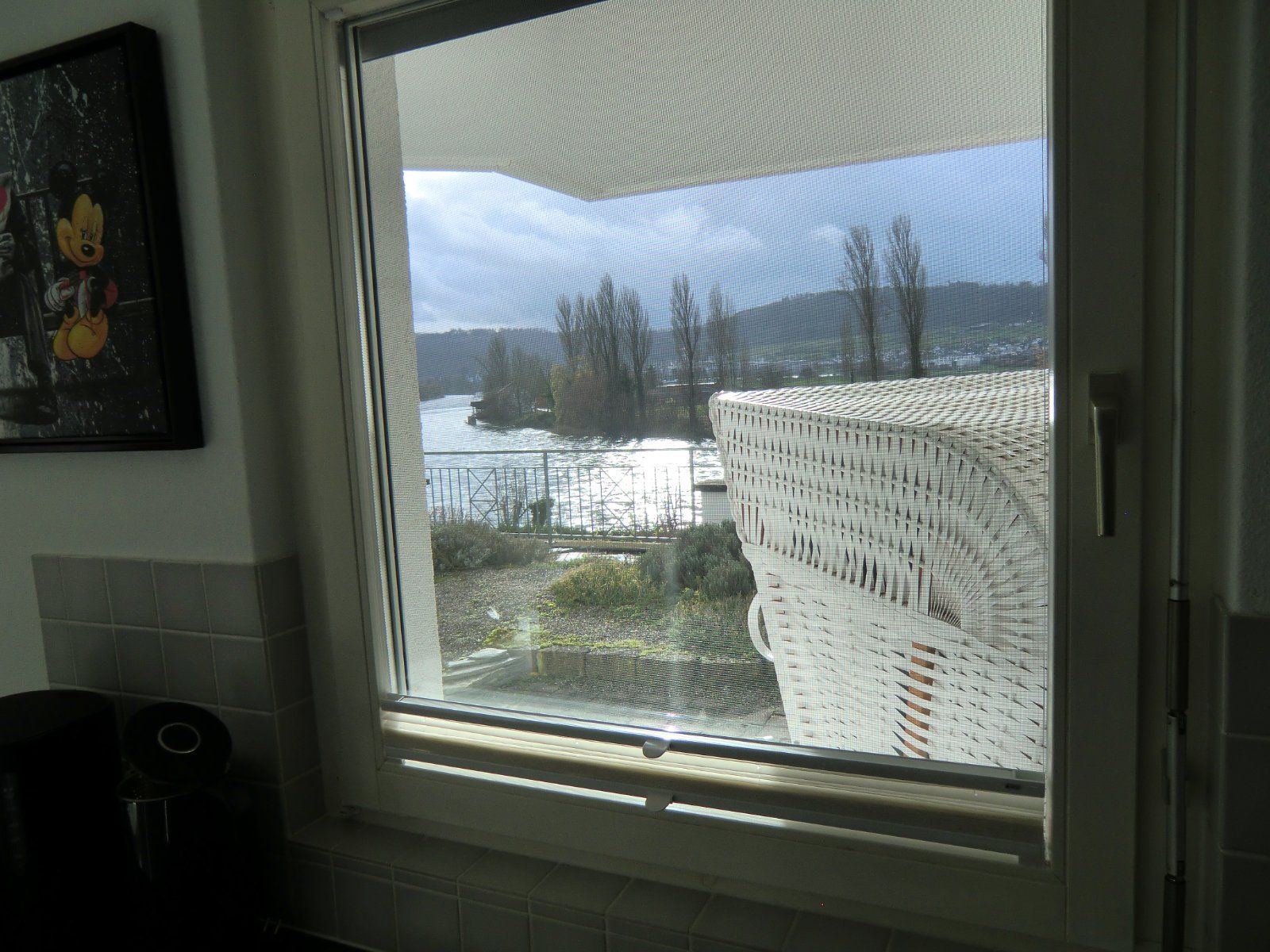 Blick aus dem Fenster auf den Rhein und die umliegende Landschaft