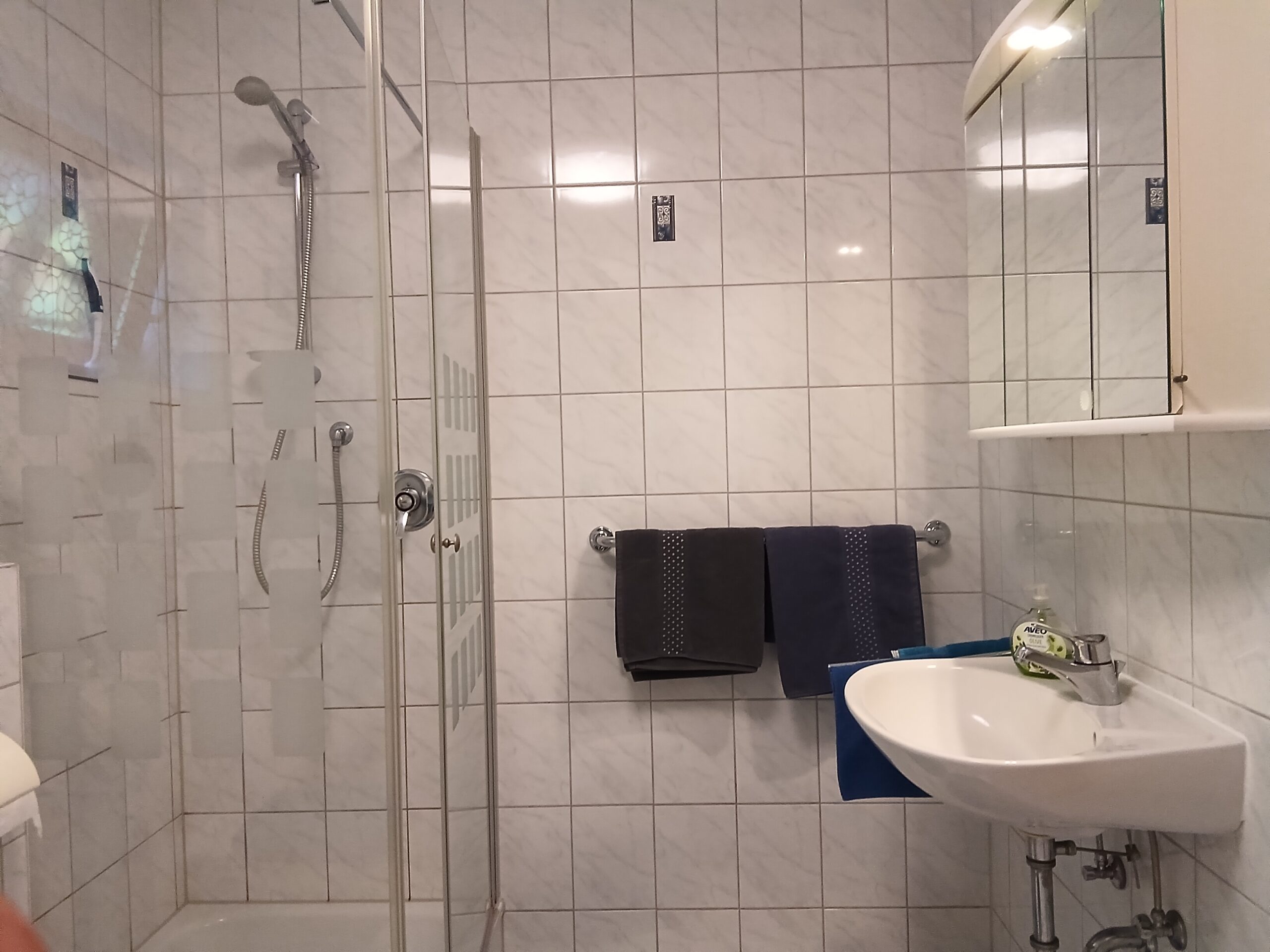 Badezimmer mit Dusche und Waschbecken in der Ferienwohnung
